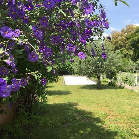 Oustaou Di Ercole Apartment Bormes-les-Mimosas Luaran gambar