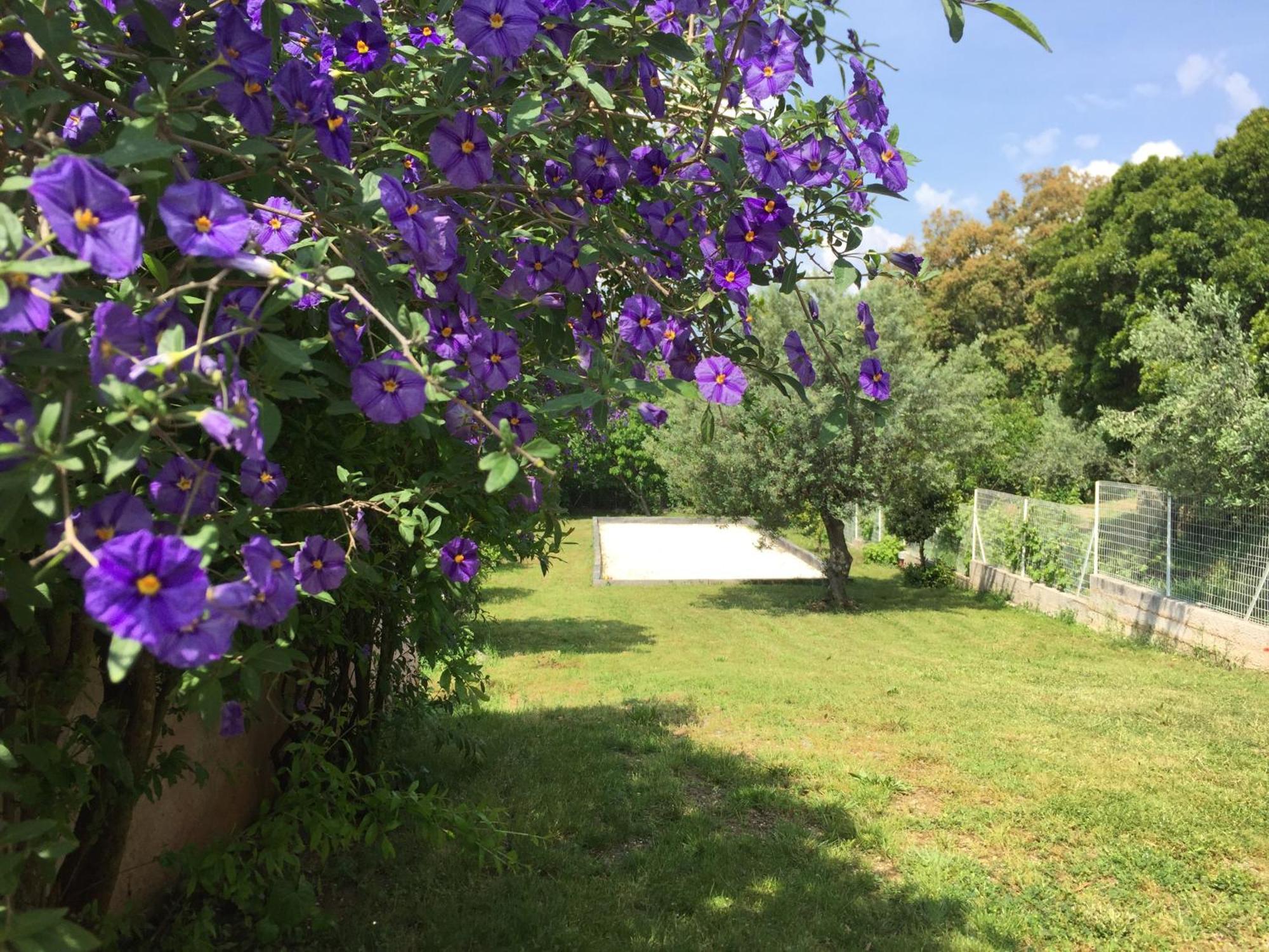 Oustaou Di Ercole Apartment Bormes-les-Mimosas Luaran gambar