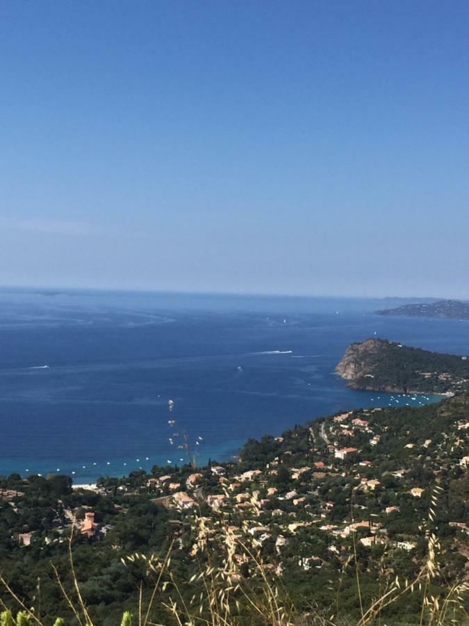 Oustaou Di Ercole Apartment Bormes-les-Mimosas Luaran gambar